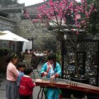 Guzheng-Spielerin in einem Teehaus in Chengdu