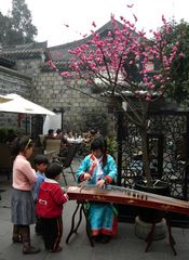 Guzheng-Spielerin in einem Teehaus in Chengdu