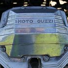 Guzzi