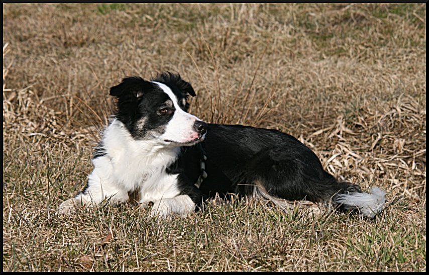 Gwen in der sonne 2