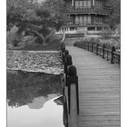 Gyeongbokgung Palace b&w