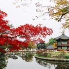 Gyeongbokgung Palast, Seoul, Südkorea