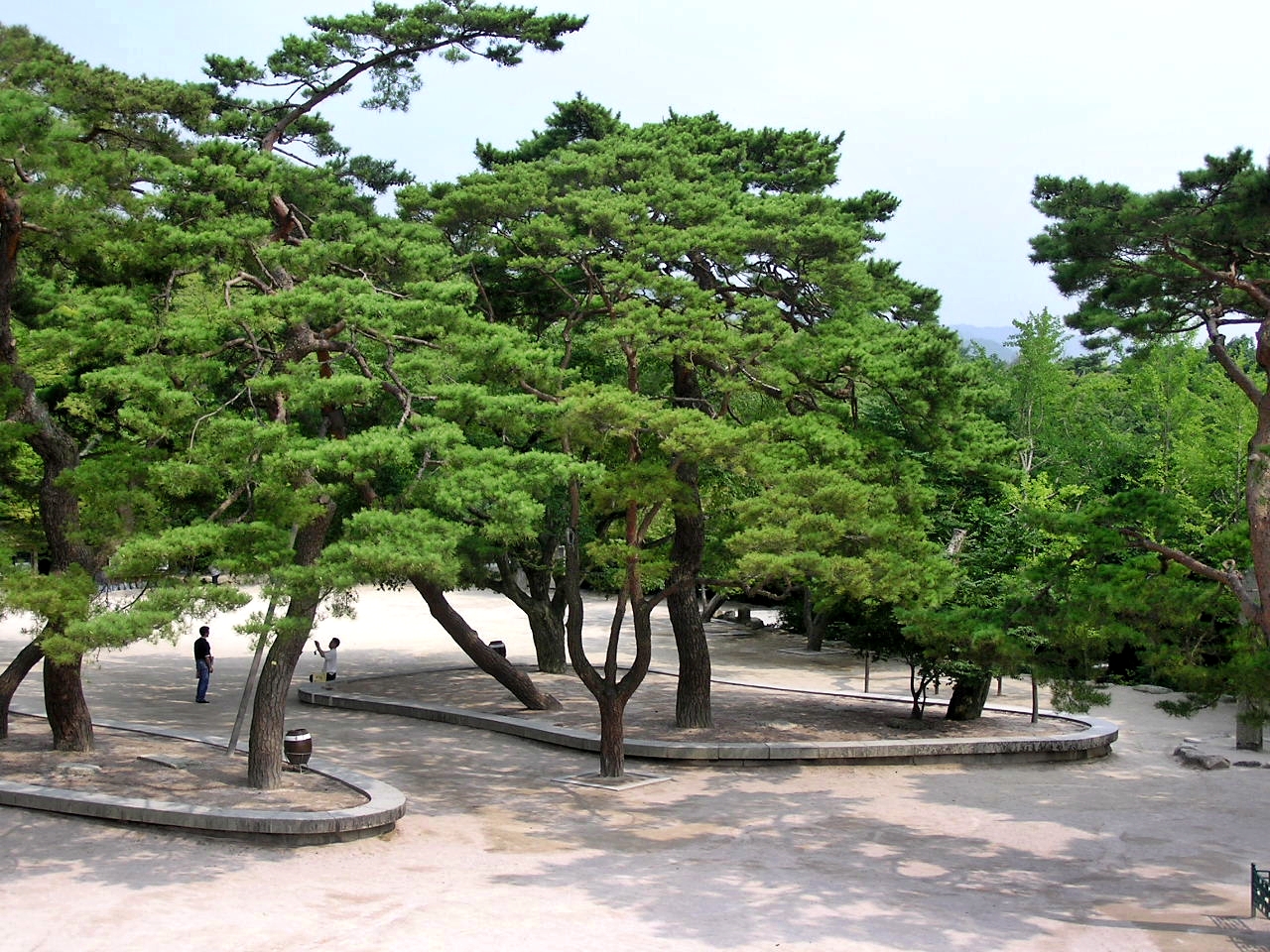 Gyeongju Bulguksa Temple Garden