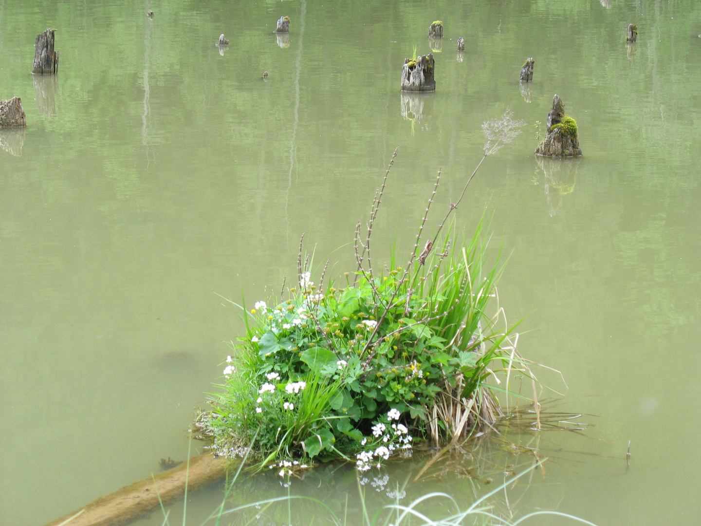 Gyilkos-tó (Lacul Ro&#351;u) _ 29.05.2010