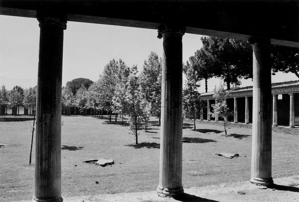 gymnasium pompeii