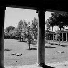 gymnasium pompeii