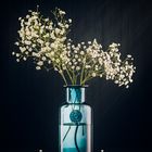 Gypsophila in a blue glass vase