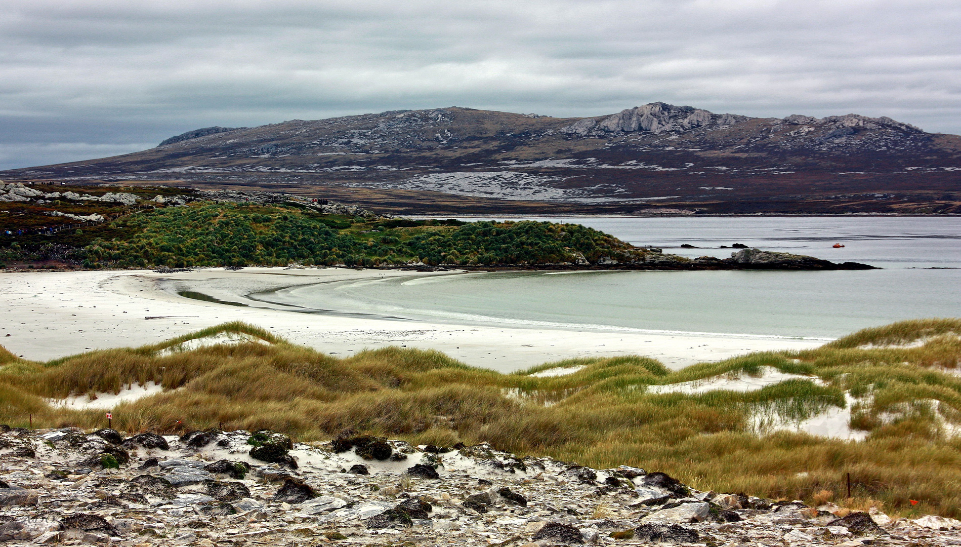 Gypsy Cove on East Falkland Island