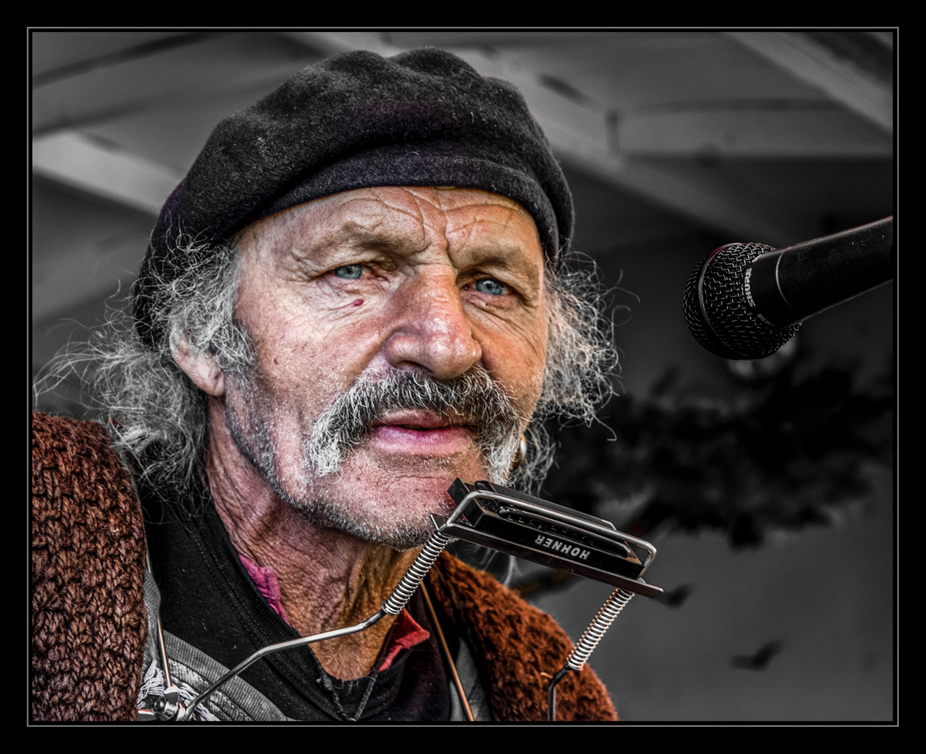 Gypsy musician