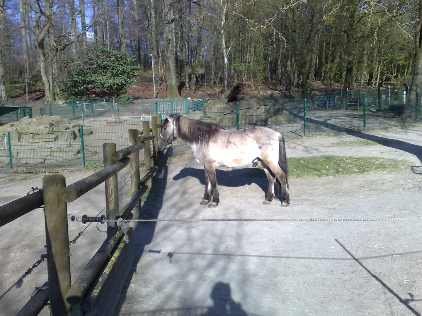 Gysenberg Herne Foto & Bild tiere, zoo, wildpark & falknerei