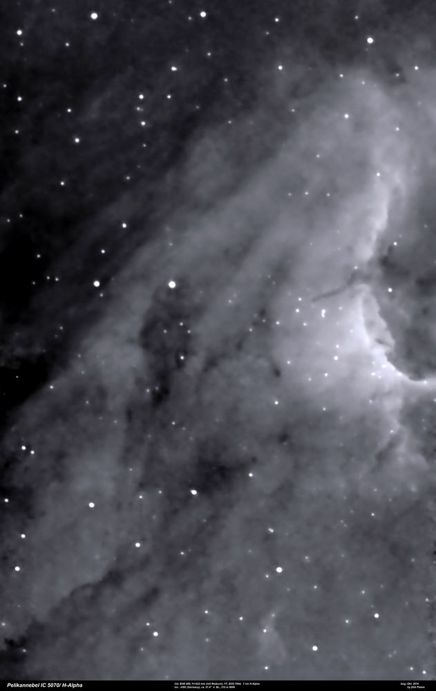 H-Alpha Licht des Pelikannebels (IC 5070) im Sternbild Schwan 
