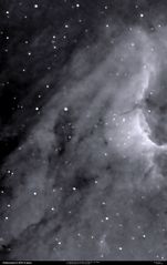 H-Alpha Licht des Pelikannebels (IC 5070) im Sternbild Schwan 