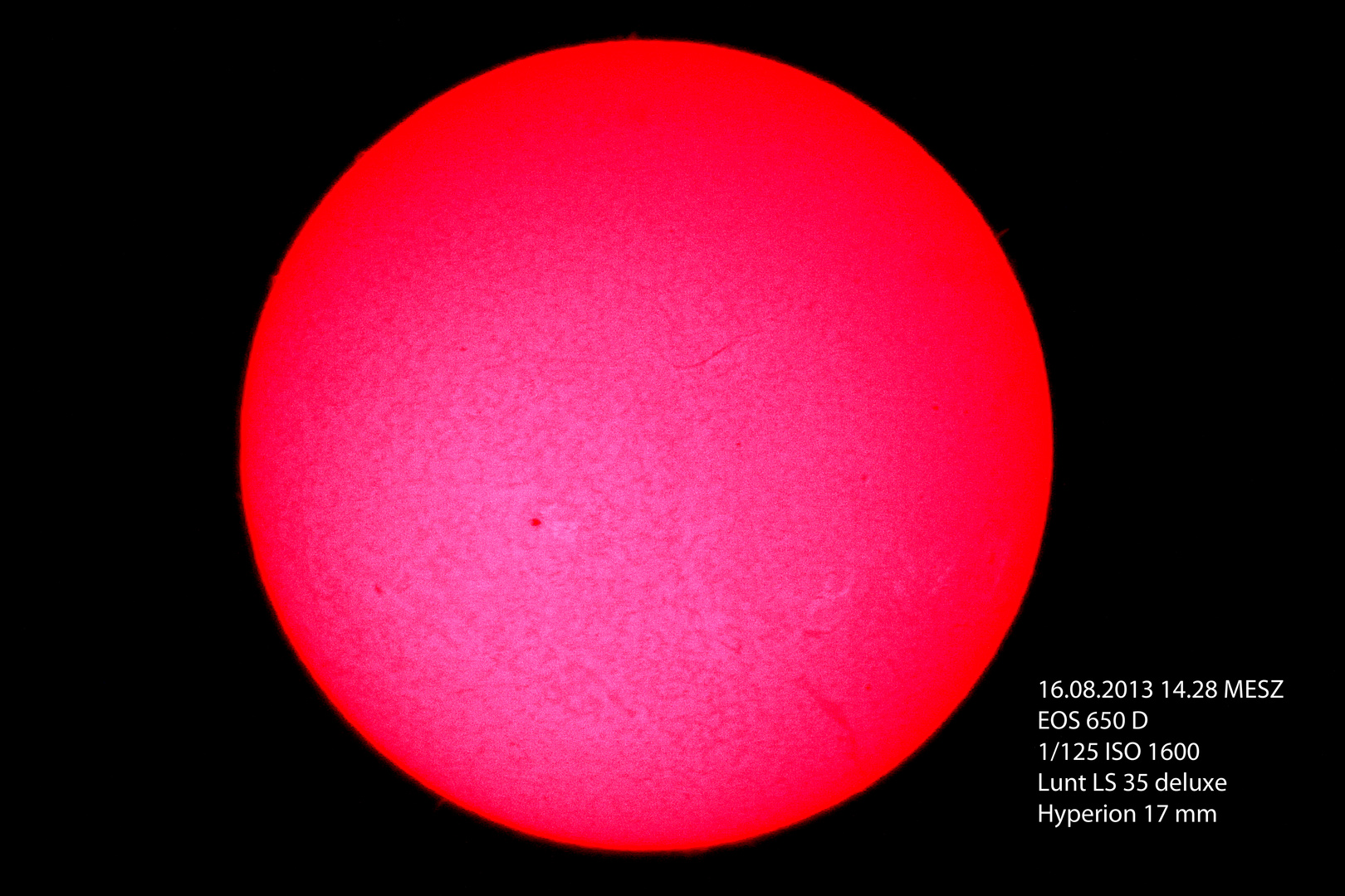 H-alpha Sonne Einzelbild