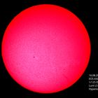 H-alpha Sonne Einzelbild