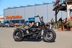 H-D Cross Bones