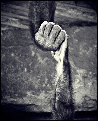 ... h e l p i n g ... h a n d ...