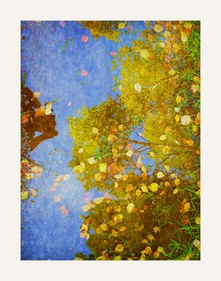 H e r b s t f a r b e n