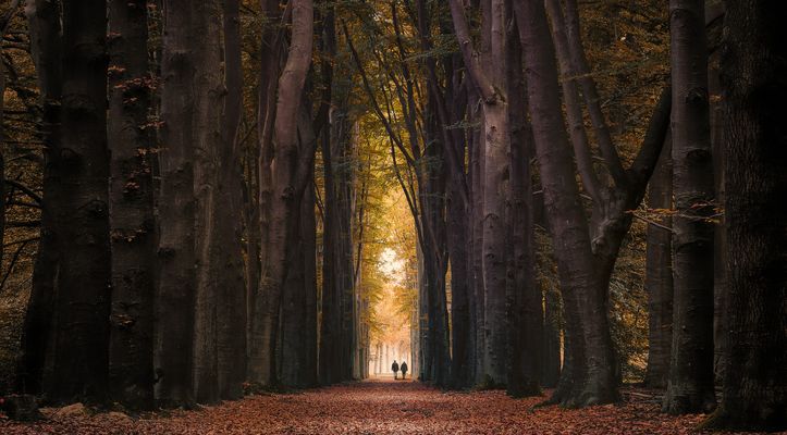 H E R B S T S P A Z I E R G A N G