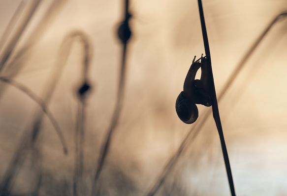 H ö h e p u n k t e