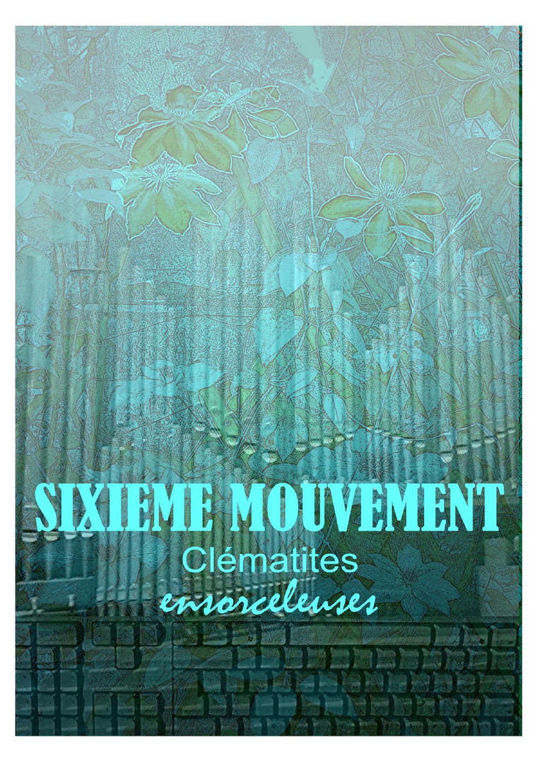 H1 CLEMATITES SIXIEME MOUVEMENT