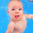 H2OFoto.de - Baby taucht beim Babyschwimmkurs