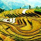 Ha Giang