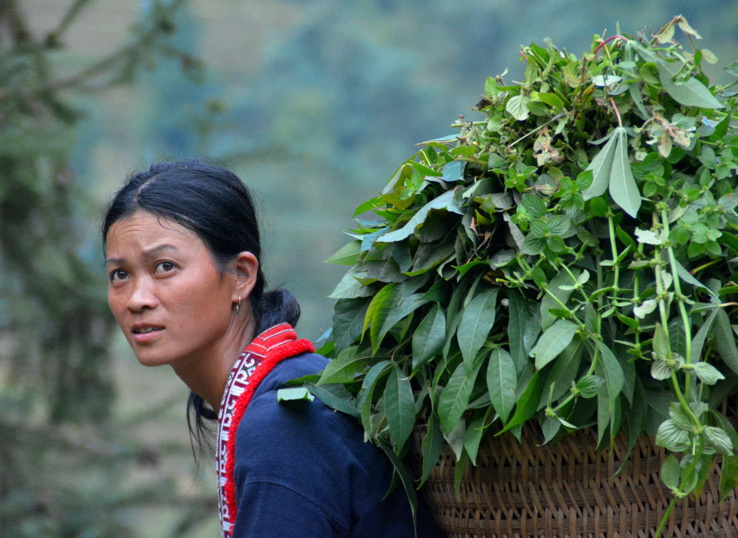 Ha giang ethnic