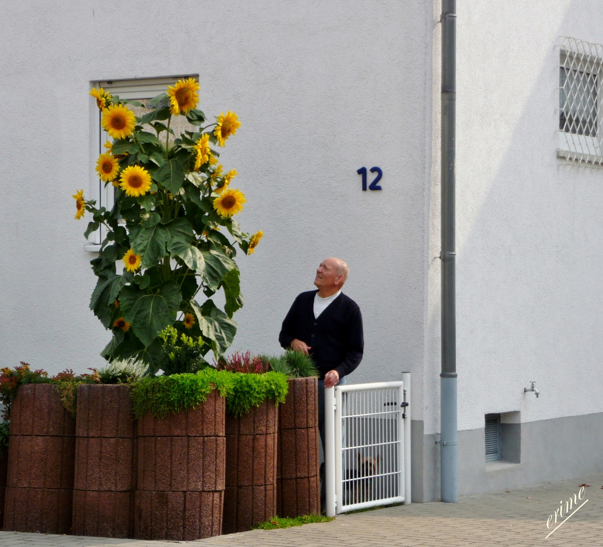 Ha, ich bin grösser !