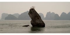 Ha Long Bucht 1