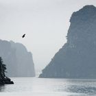 Ha Long Bucht