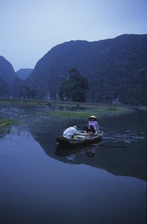 HA LONG terrestre