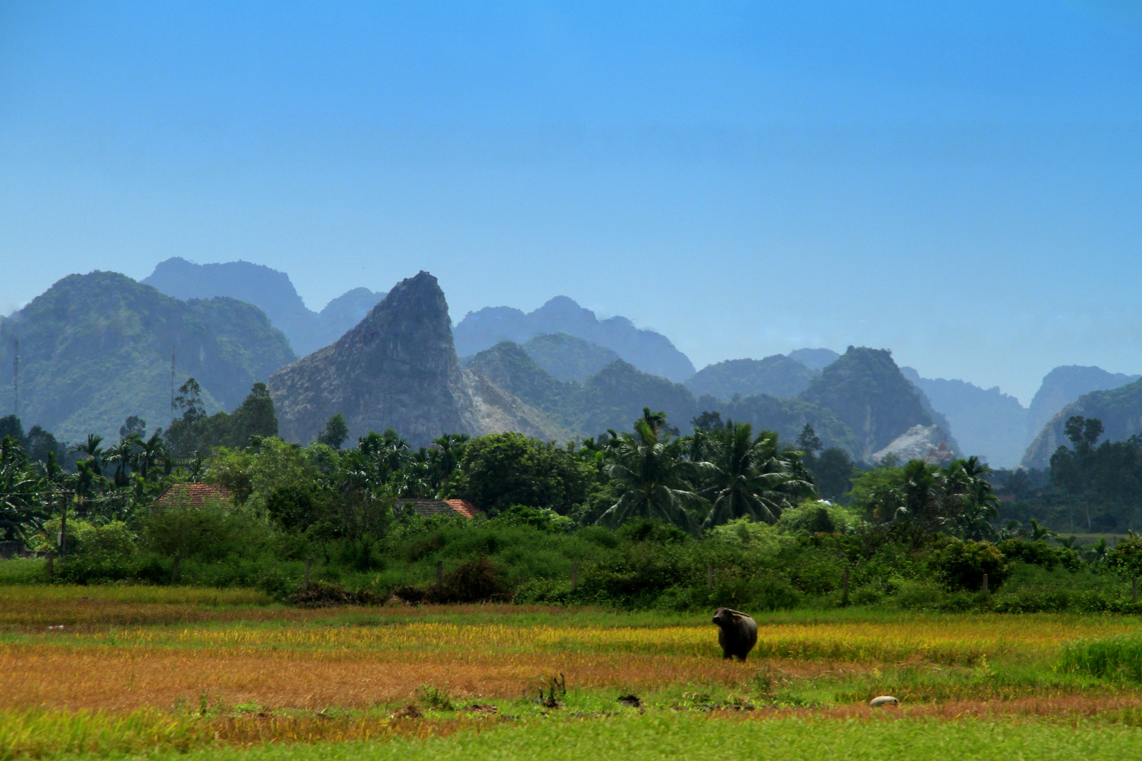 Ha Long von Fern