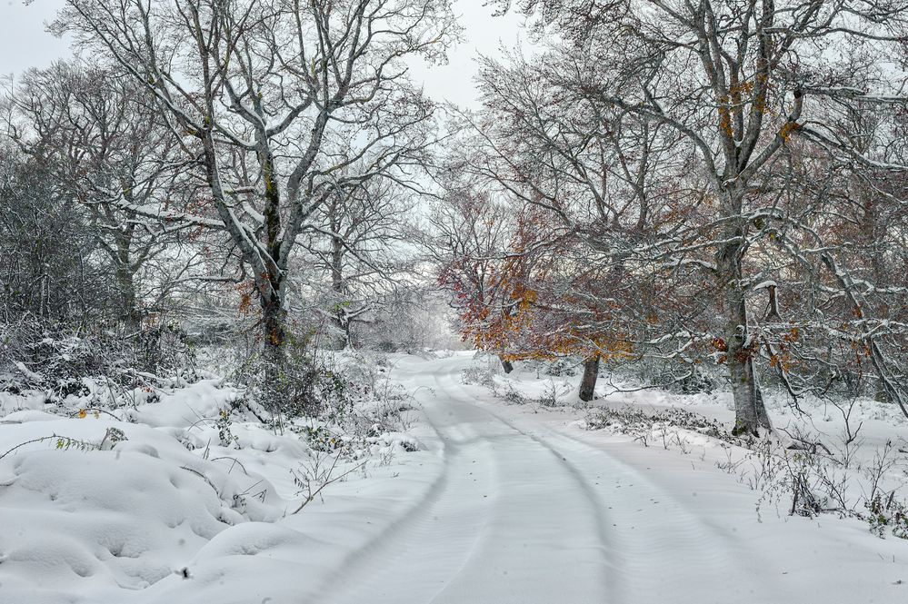 ha sido un invierno frío y largo Imagen & Foto estaciones del año