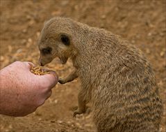 Haaaaaaaaaaa lecker !!!!!