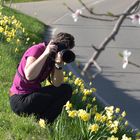 User Profile Photo