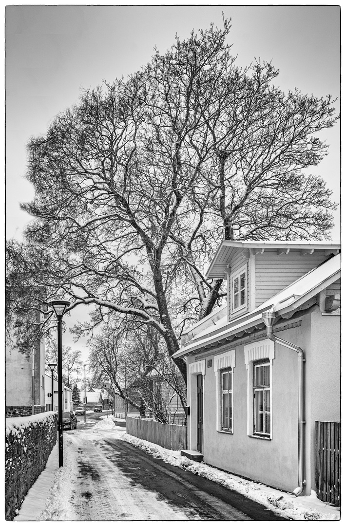 Haapsalu winter