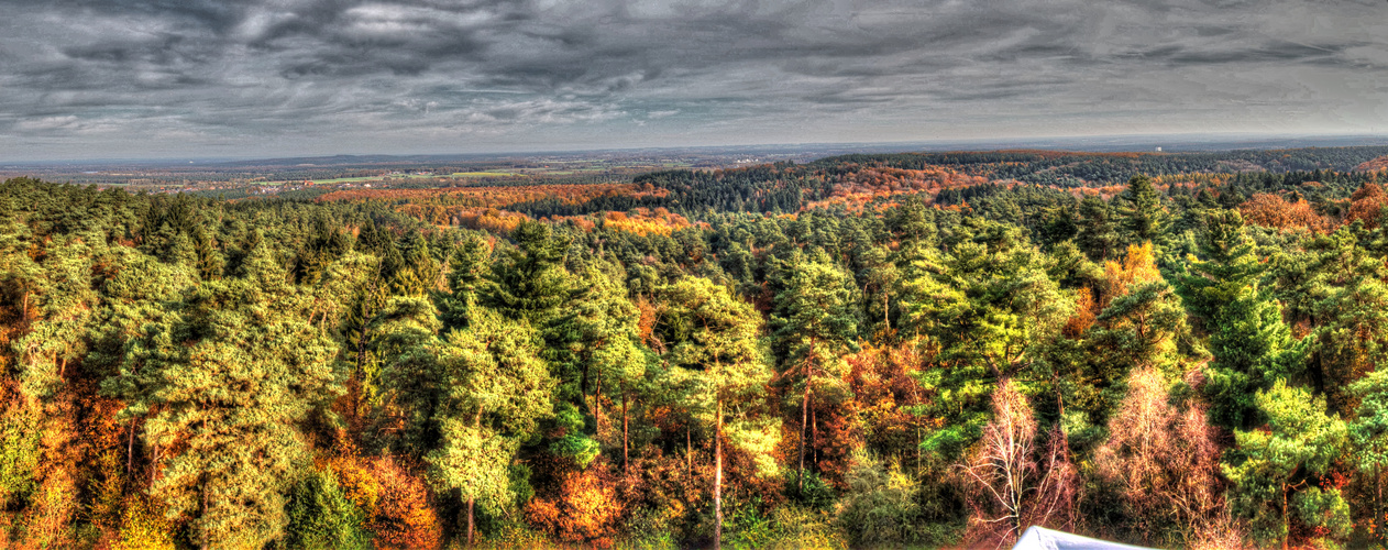 Haard im Herbst