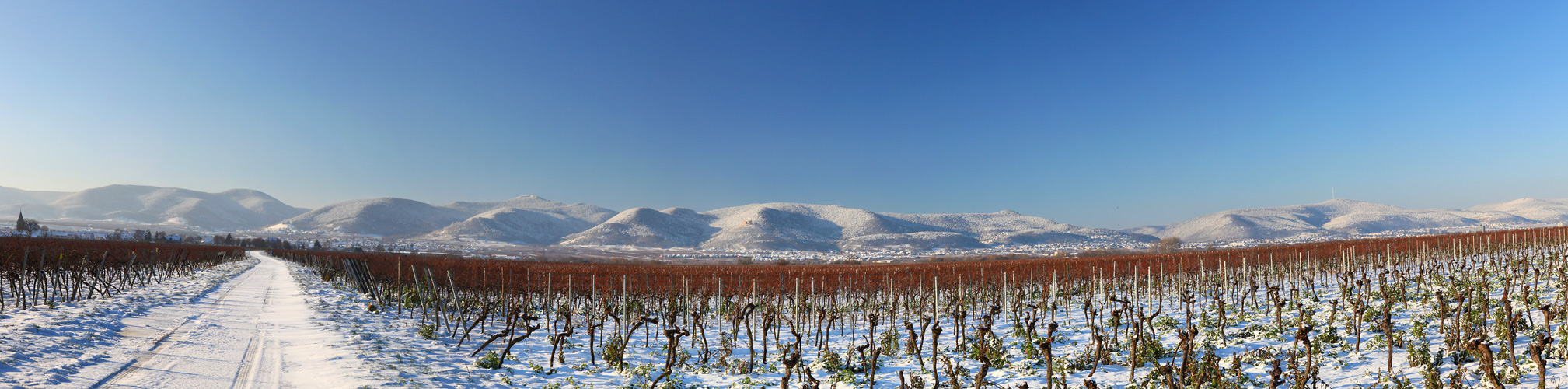 Haardtrand-Panorama