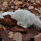 Haareis: Herbst-Winter_02