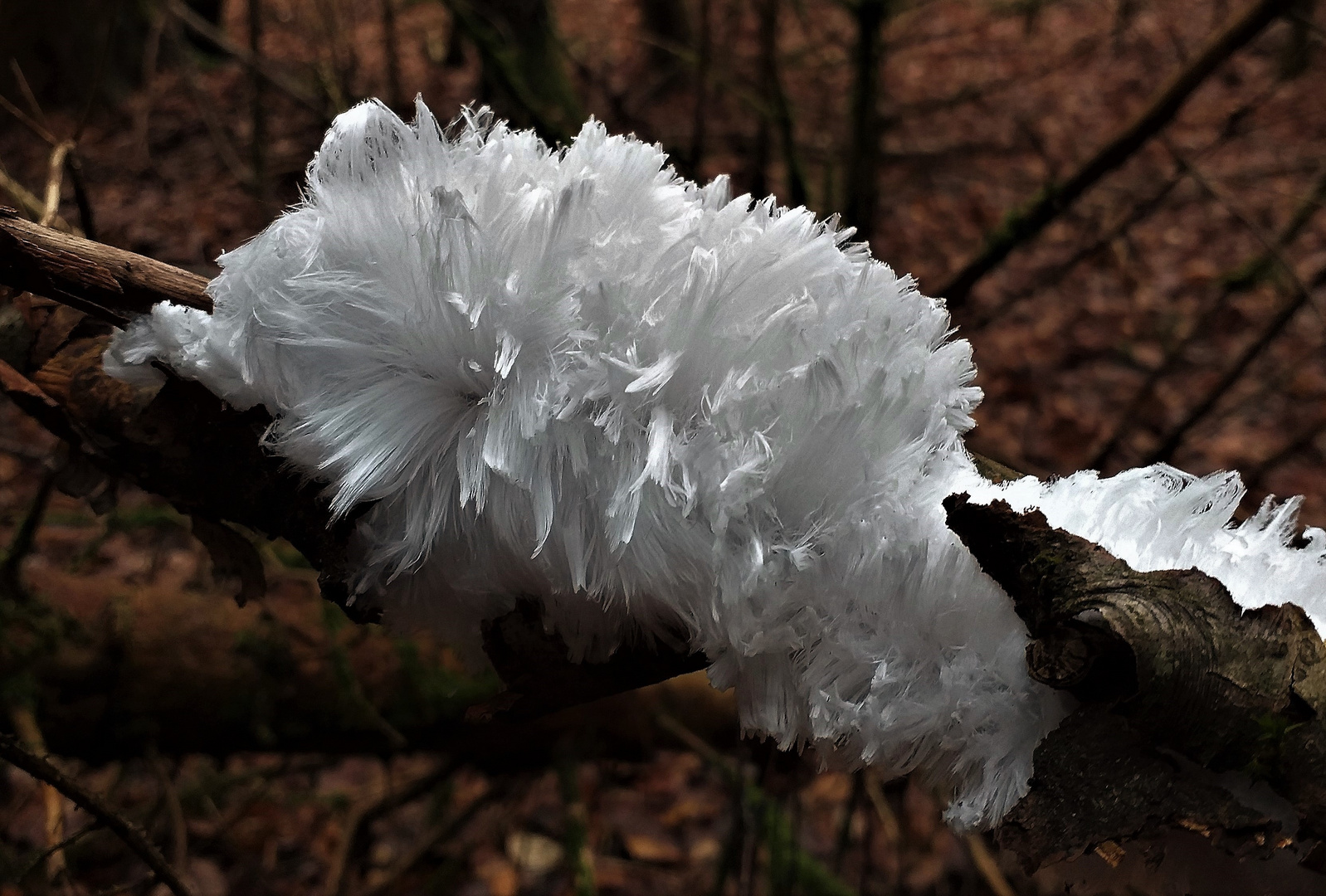 Haareis - Wanderung am 8.12.2022