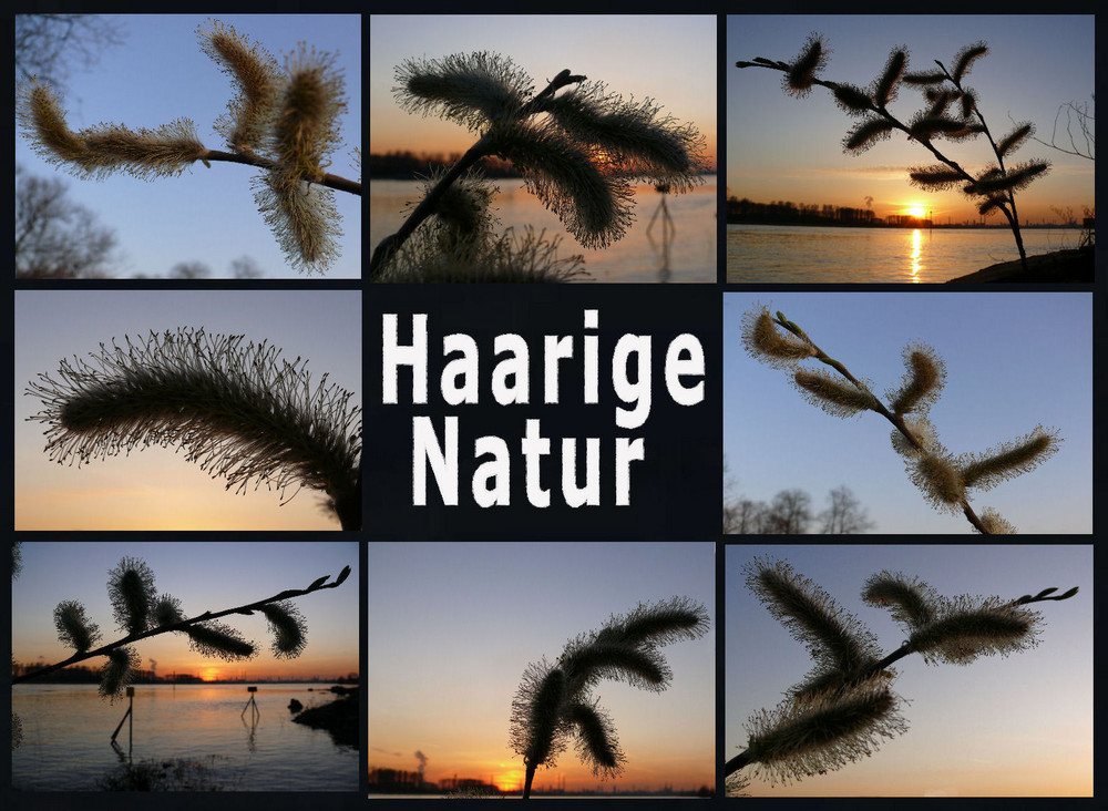 Haarige Natur