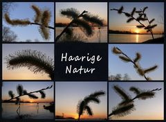 "Haarige Natur" mit einer filigraneren Titelschrift