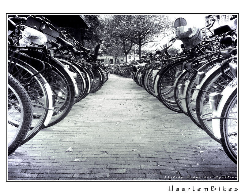 Haarlem Bikes