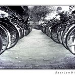 Haarlem Bikes