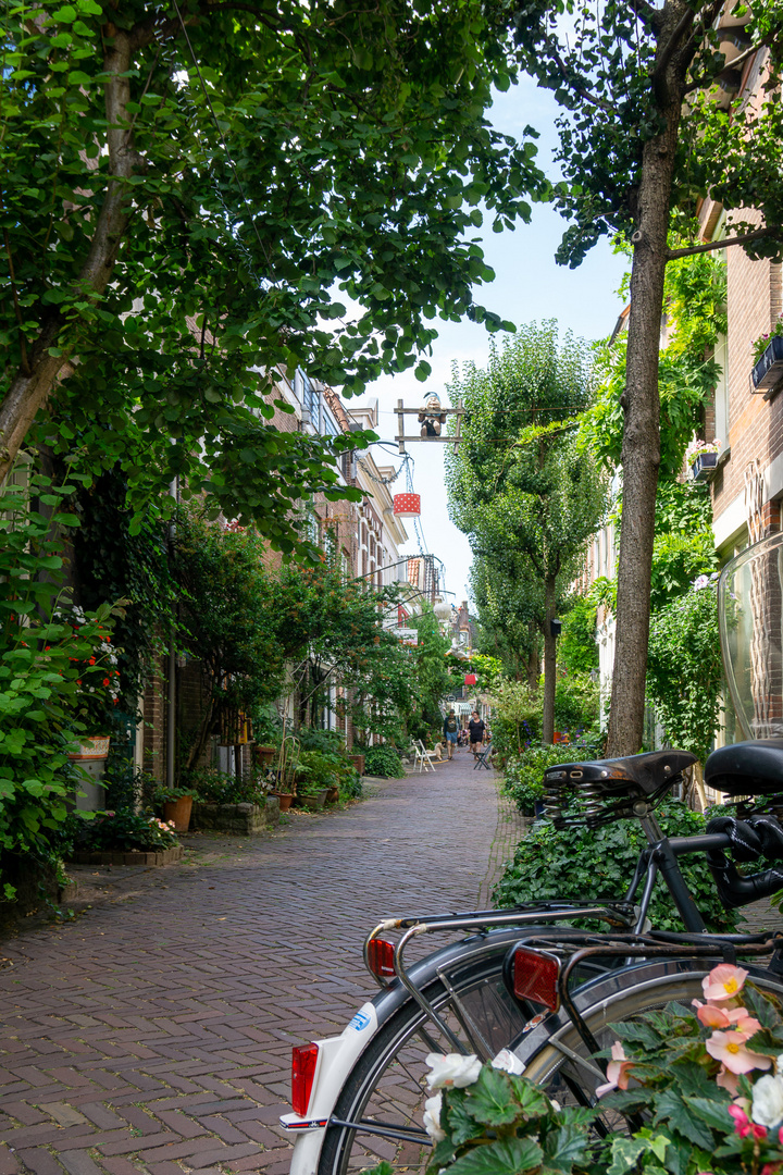 Haarlem Grüne Straße 1