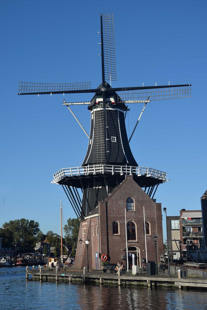 Haarlem / Windmühle