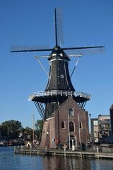 Haarlem / Windmühle