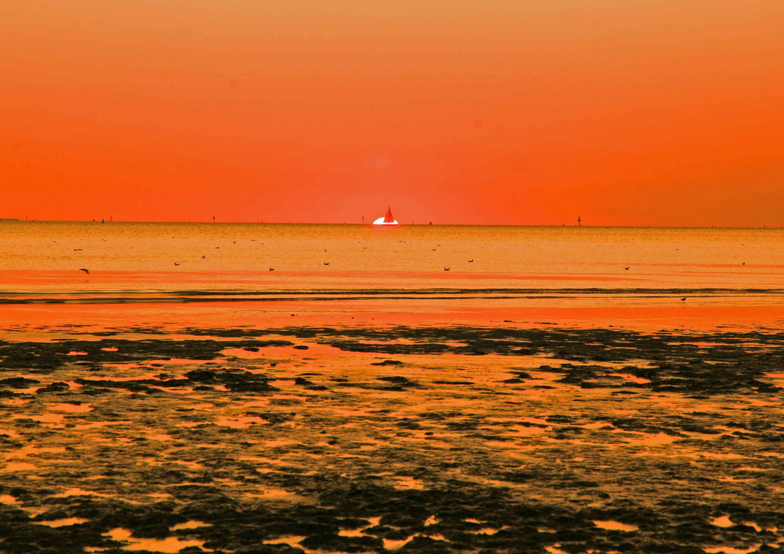  Haarlingen Holland Sonnenuntergang mit ein Segelschiff