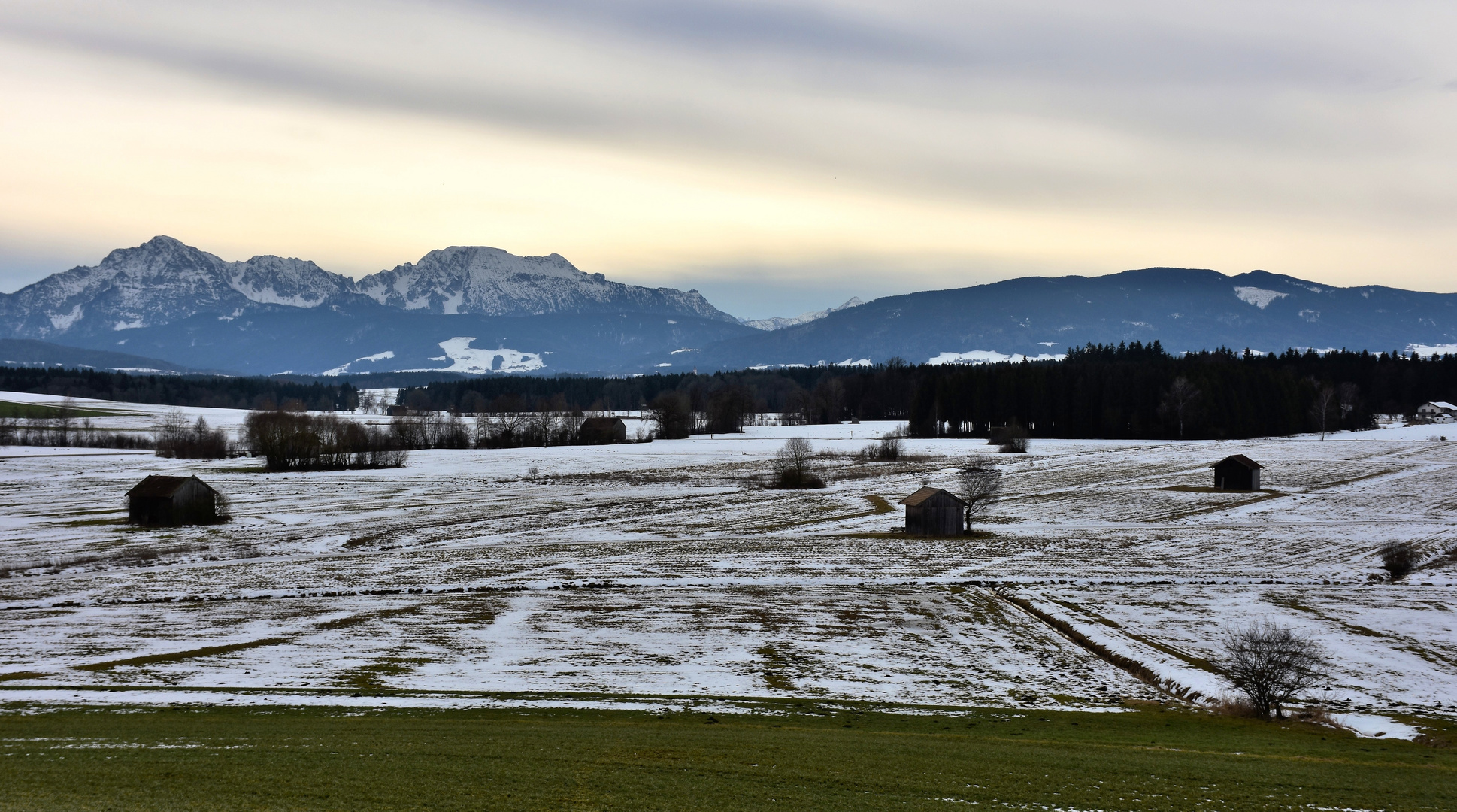 Haarmoos beim Abtsdorfer See