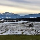 Haarmoos beim Abtsdorfer See